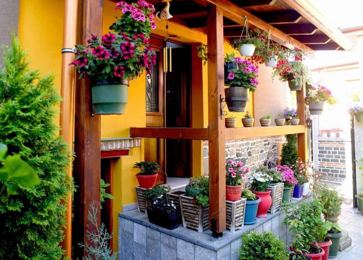 Hotel Bujtina Bicolli Корча Экстерьер фото